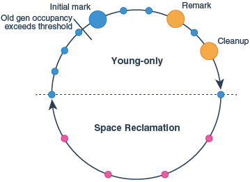 g1 cycle